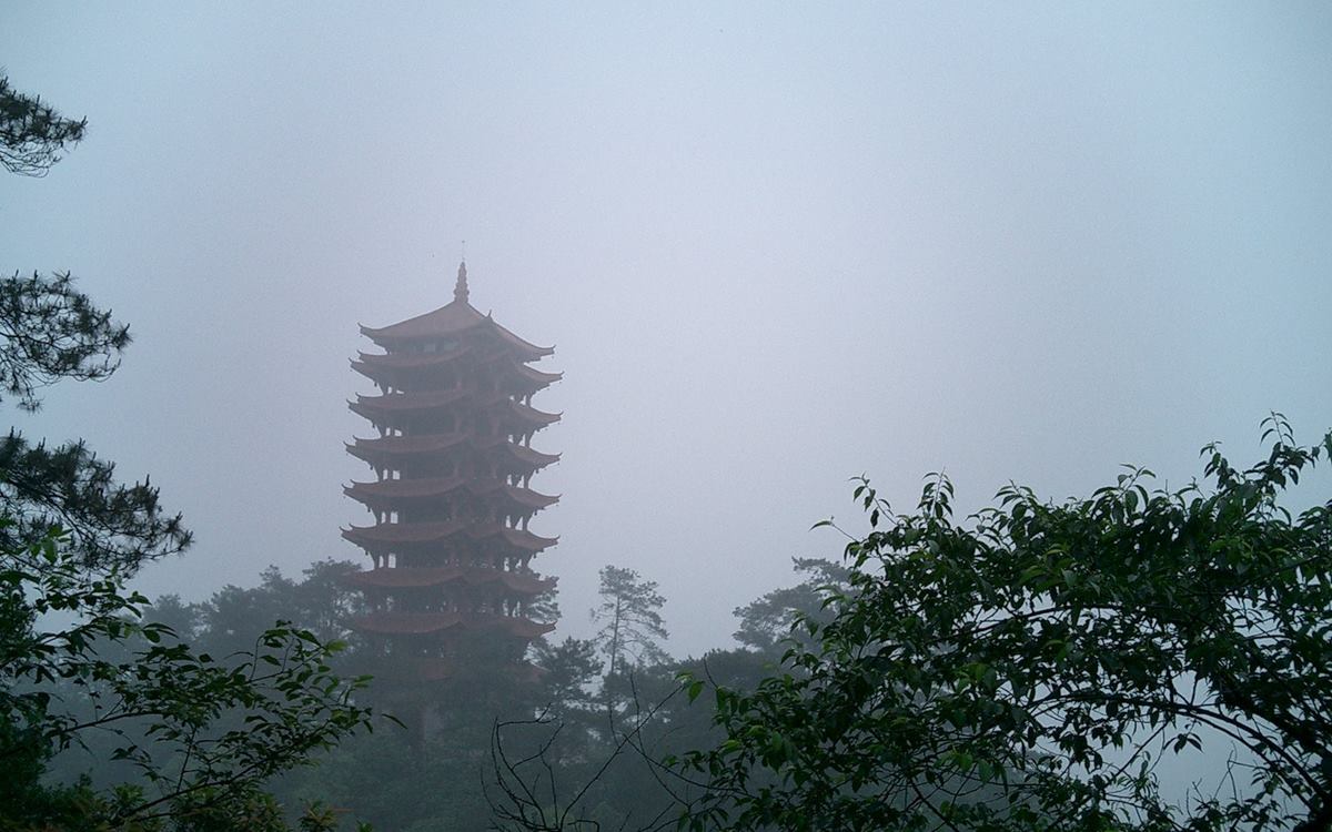茶山竹海环线第2张风景照片