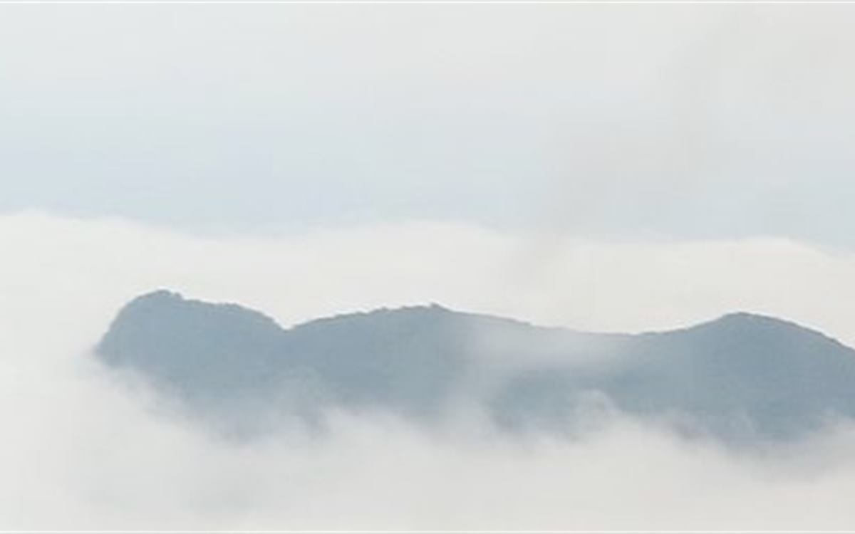 茶山竹海环线第3张风景照片