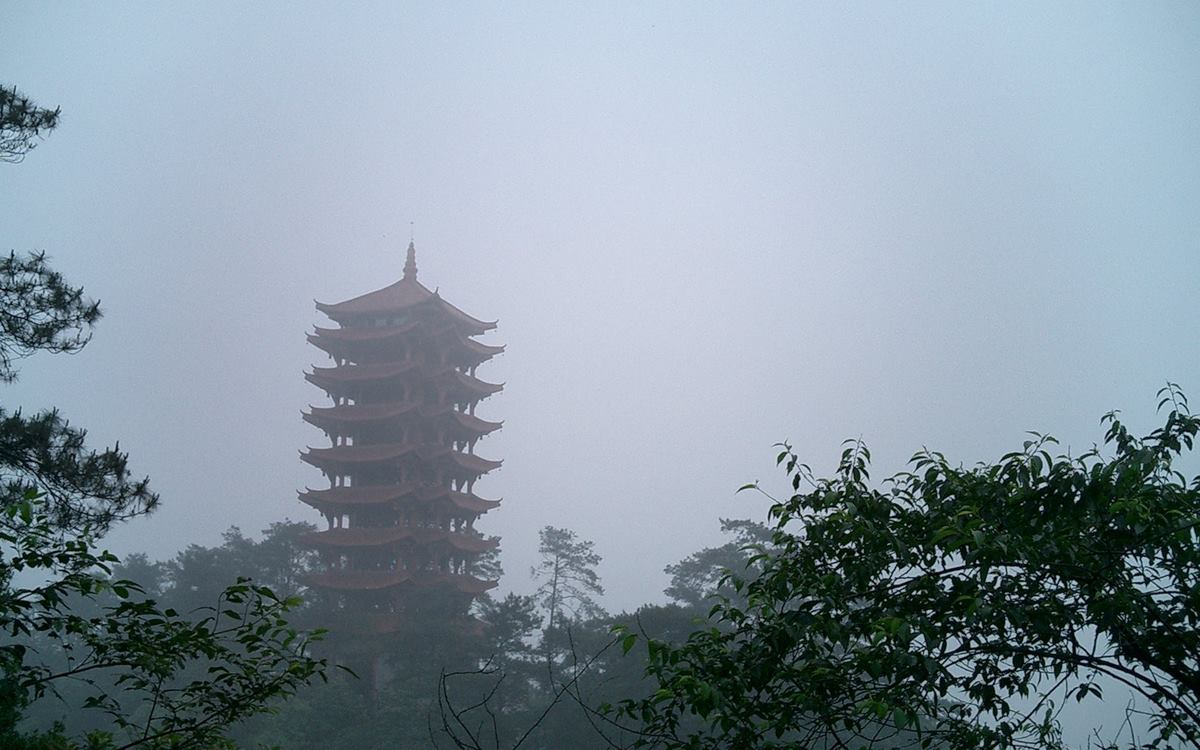 茶山竹海环线第4张风景照片