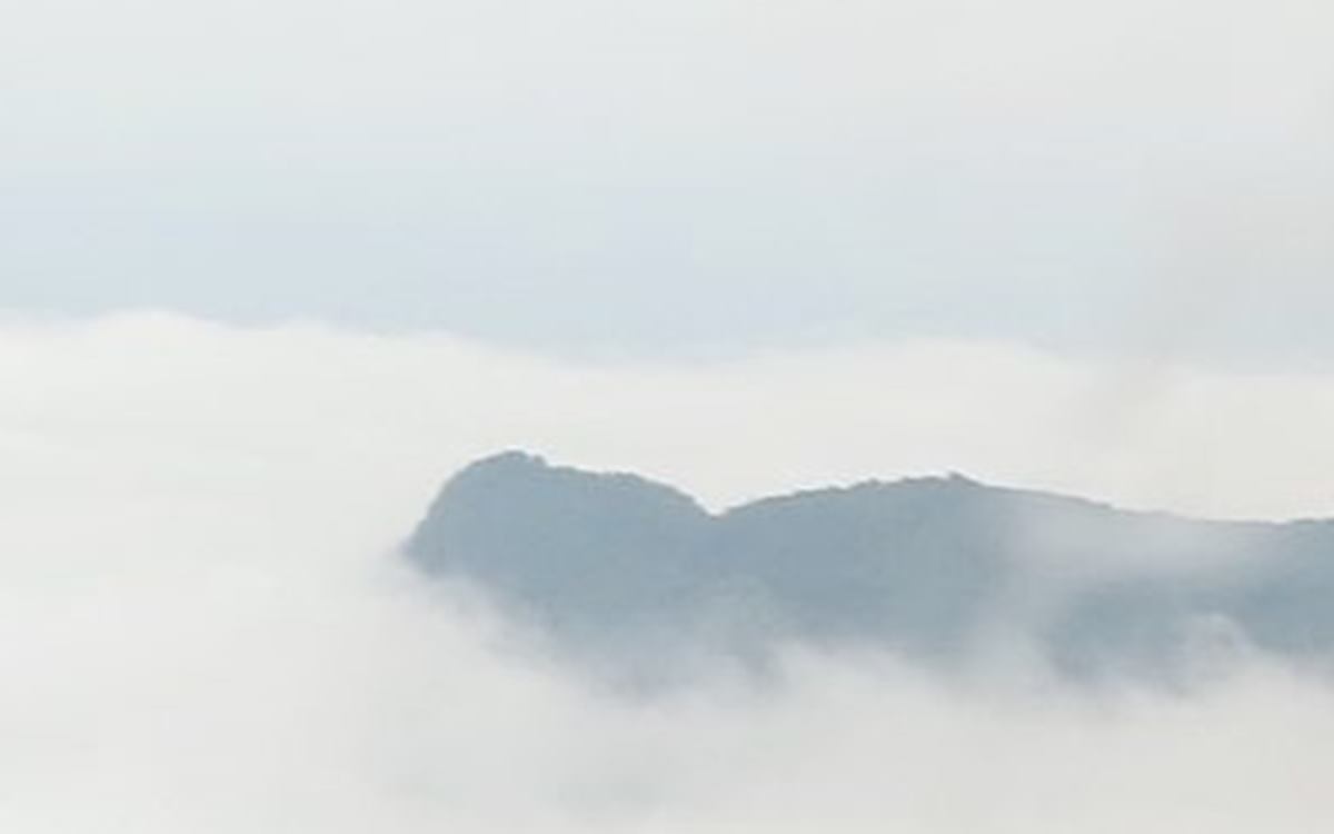 茶山竹海环线第5张风景照片