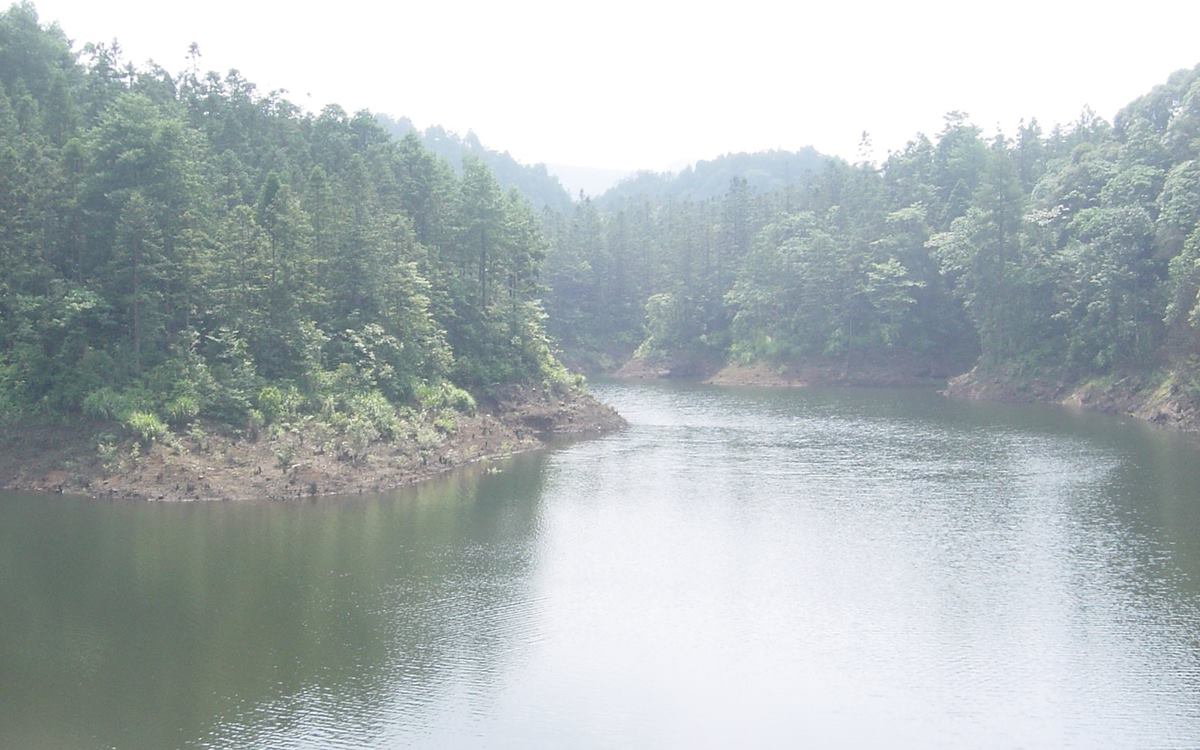 茶山竹海环线第1张风景照片