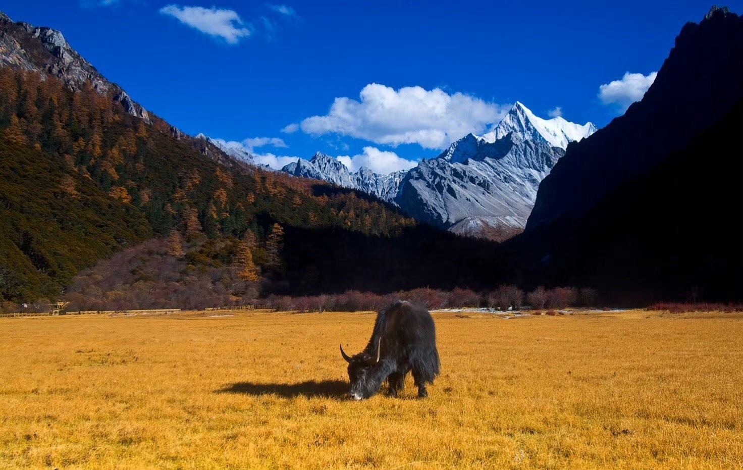 亚丁大转山第4张风景照片