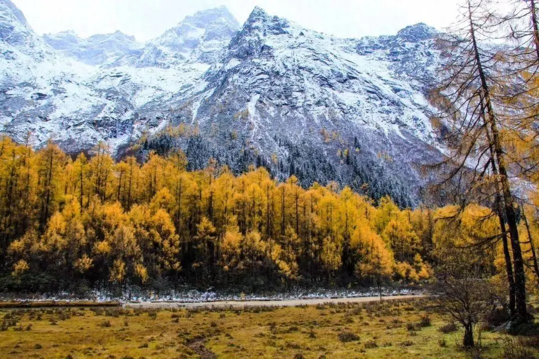 长坪沟穿越毕棚沟第3张风景照片