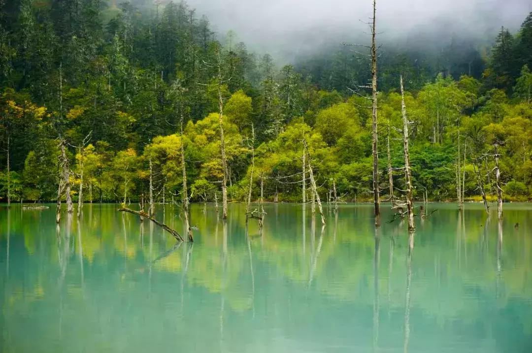 巴王海徒步线第6张风景照片