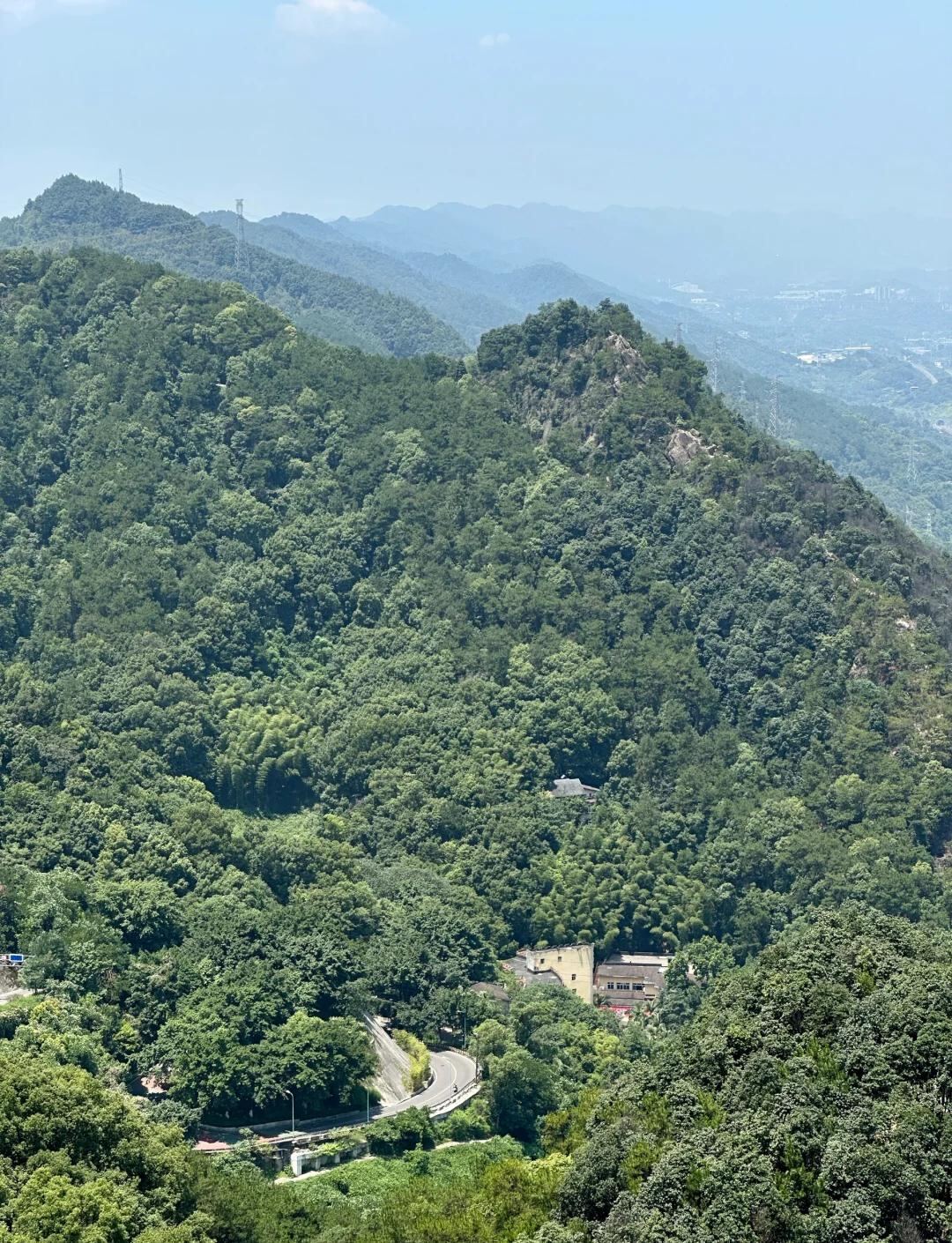 歌乐山森林环线第4张风景照片