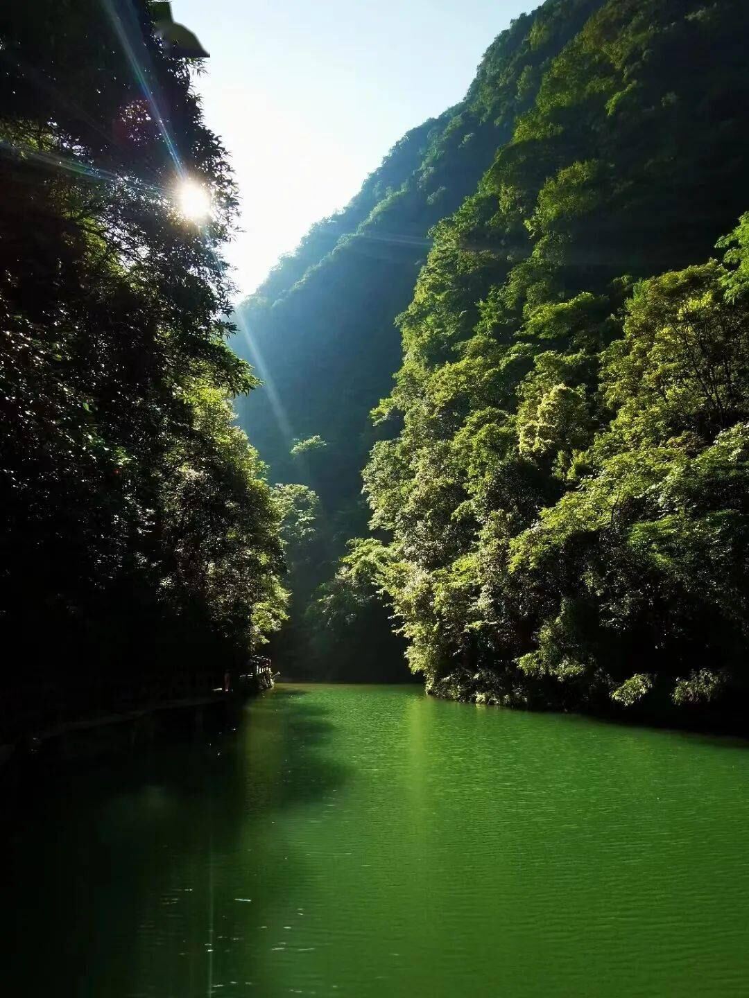 金佛山硬核巅峰第3张风景照片