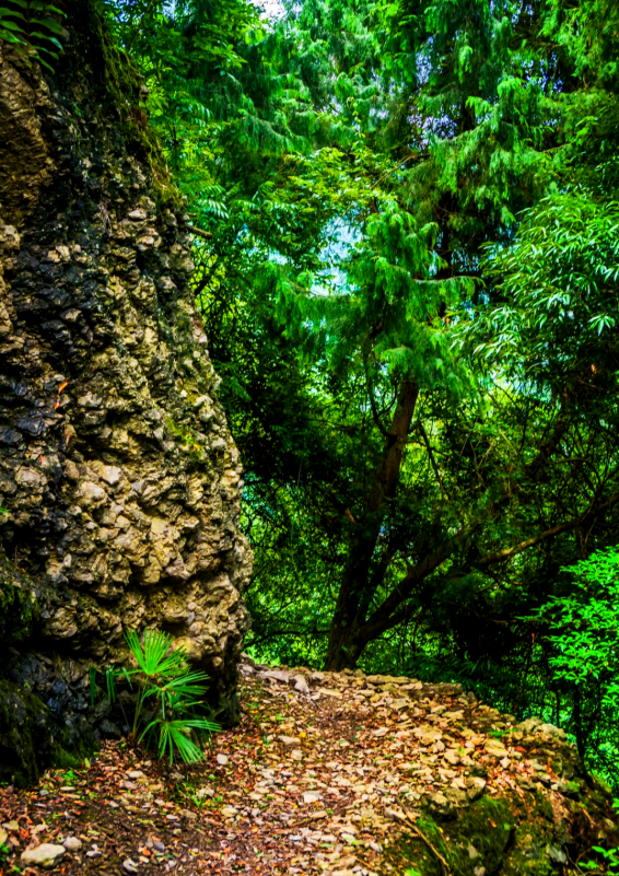 南川悬崖村第5张风景照片