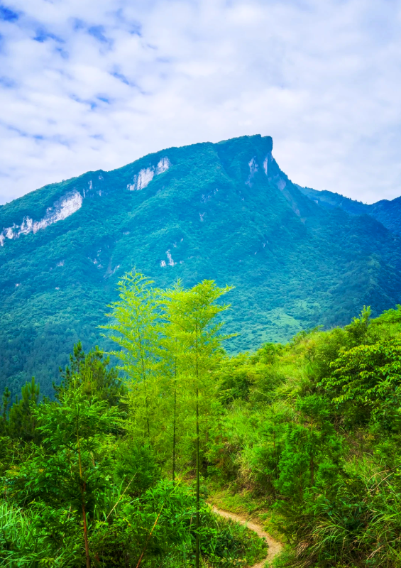南川悬崖村第6张风景照片