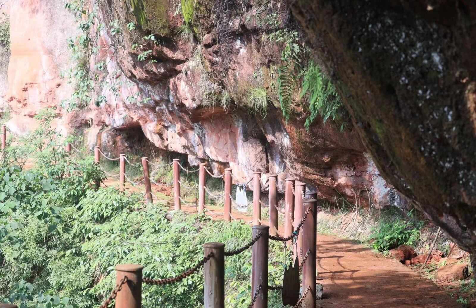 江津大圆洞国家森林公园第1张风景照片