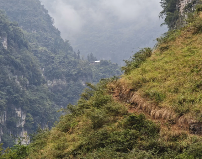 丁木沟第6张风景照片
