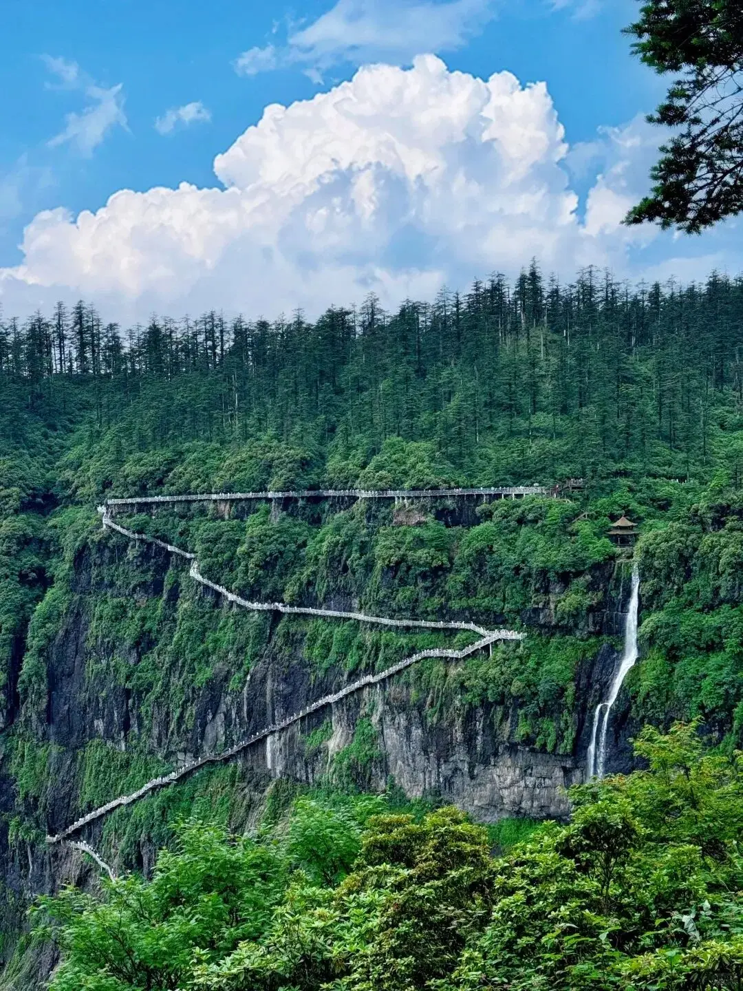 瓦屋山原始森林环线第5张风景照片