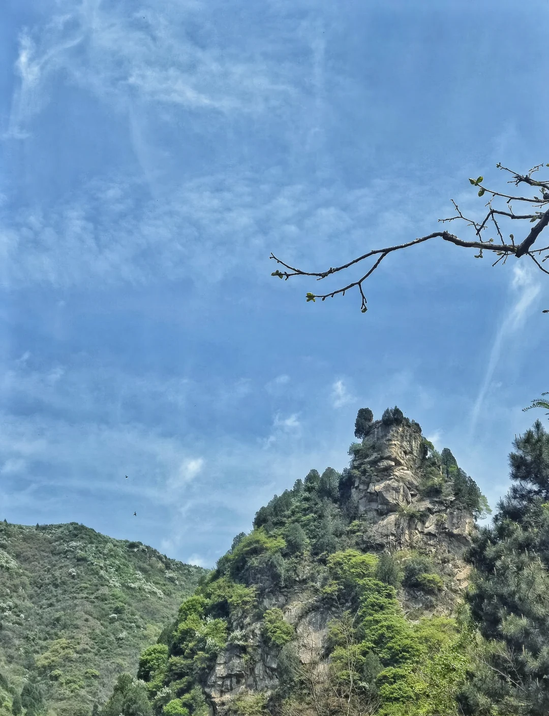 秦岭子午峪第6张风景照片