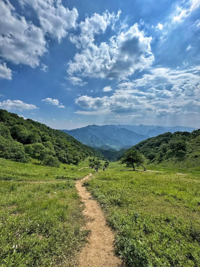 秦岭华阳草甸第2张风景照片