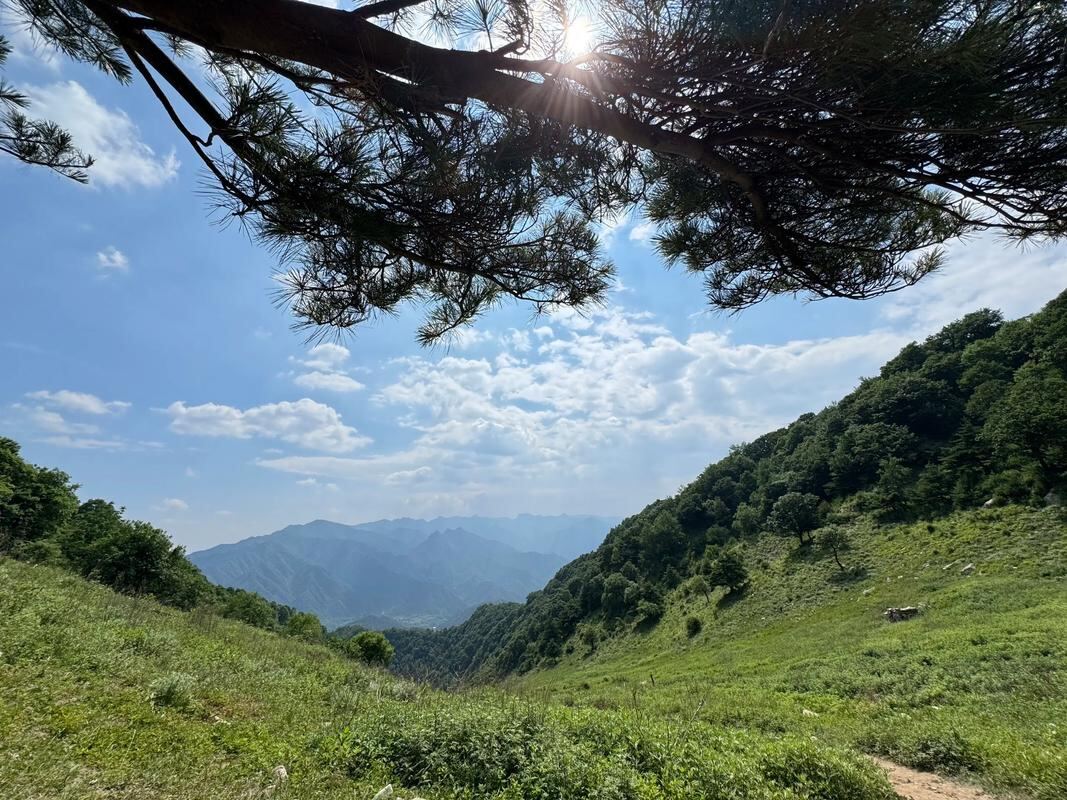 秦岭华阳草甸第3张风景照片