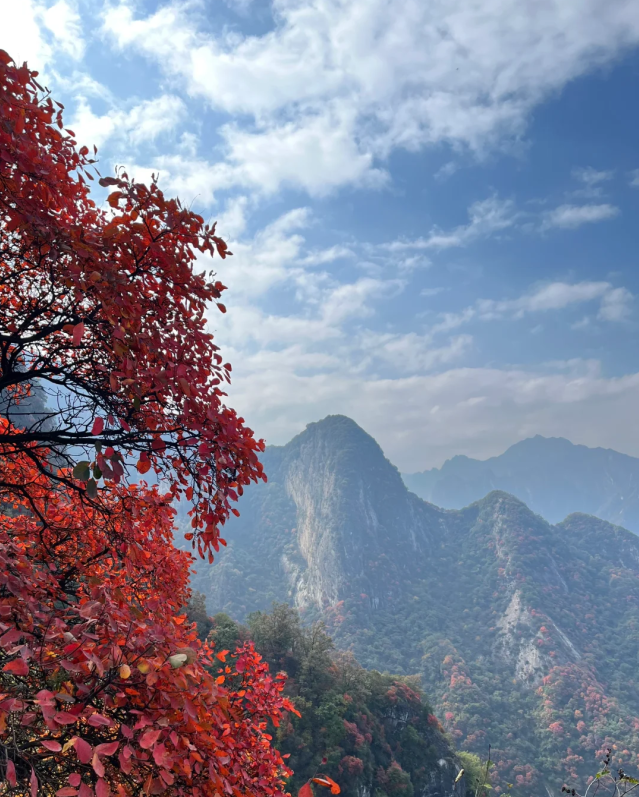 秦岭嘉午台第1张风景照片