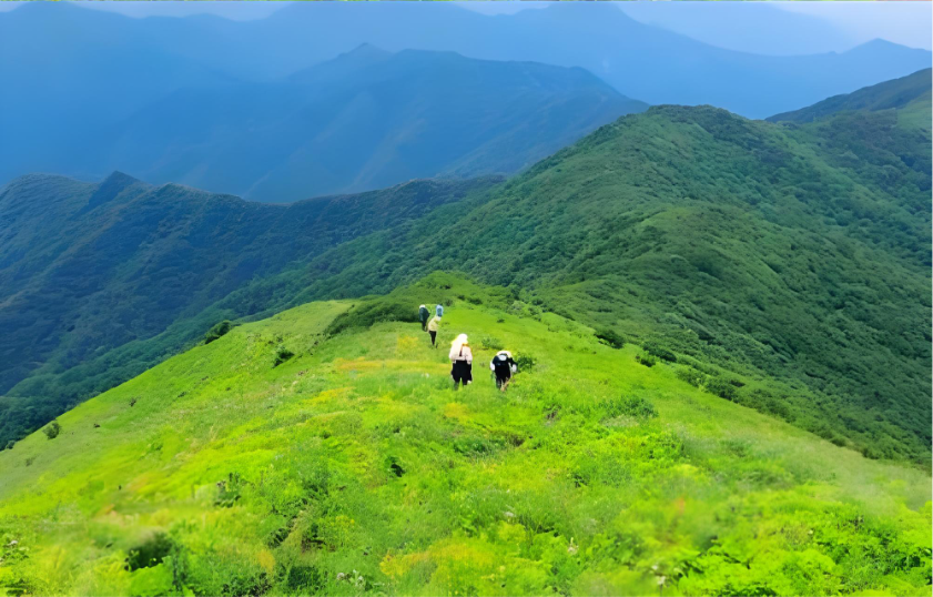 秦岭草链岭第2张风景照片