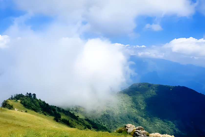 秦岭草链岭第3张风景照片