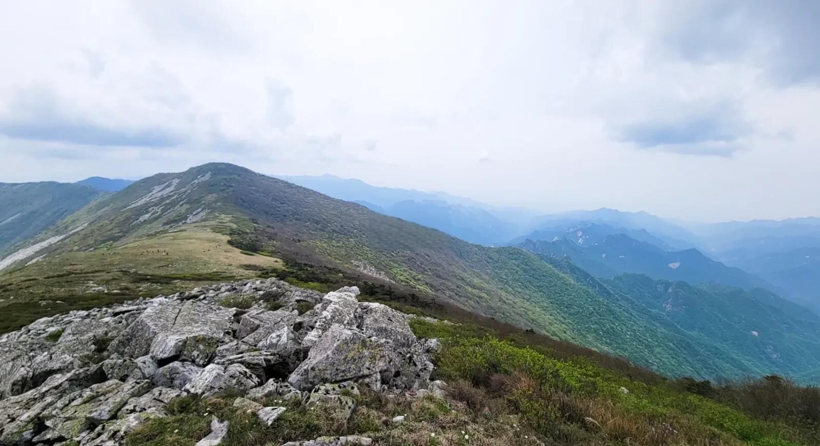 秦岭草链岭第5张风景照片