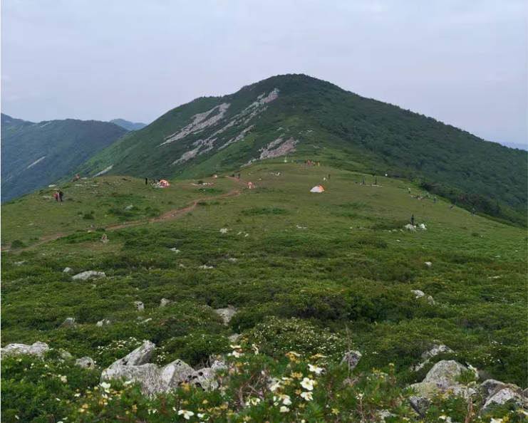 秦岭草链岭第6张风景照片