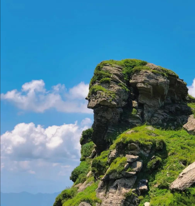 秦岭鹿角梁第5张风景照片