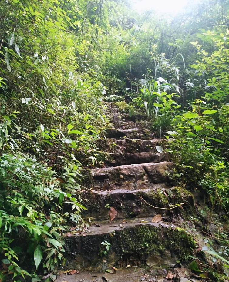 江油老君山第6张风景照片