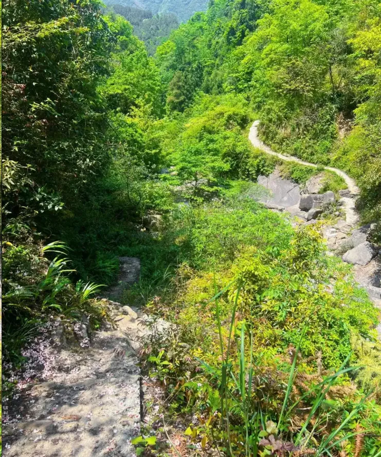 绵阳马家倒沟第4张风景照片