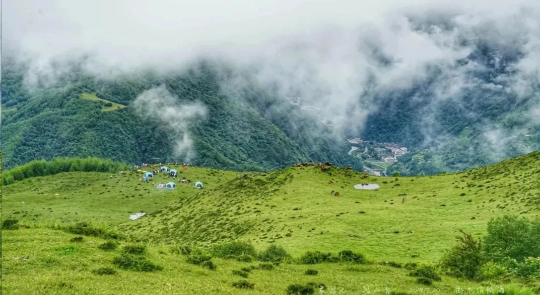 卧龙云中牧场第2张风景照片