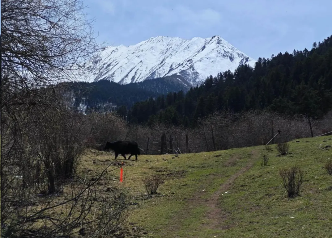 米亚罗纳山第3张风景照片